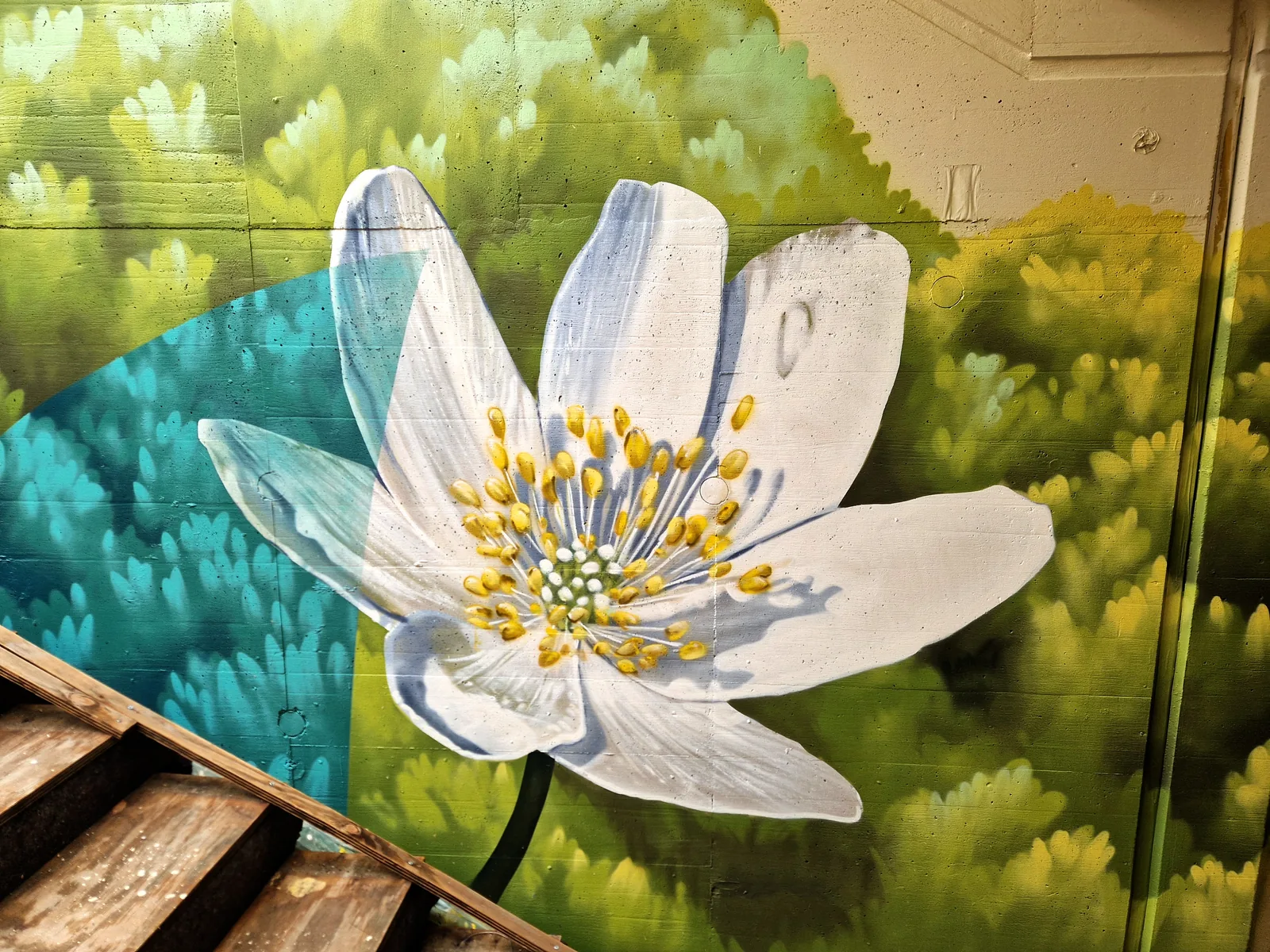 Wandmalerei einer weißen Anemone auf grünem Hintergrund - Werk von Tobias Moeller (StroDe - Stroke Design)